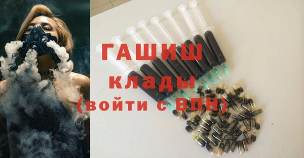 индика Краснотурьинск