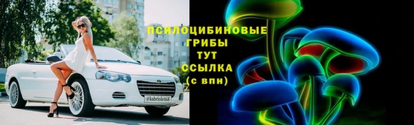 индика Краснотурьинск