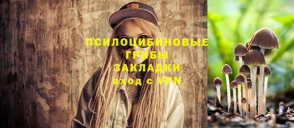 индика Краснотурьинск