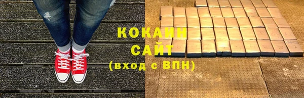 индика Краснотурьинск