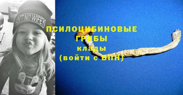 индика Краснотурьинск