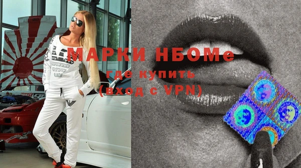индика Краснотурьинск