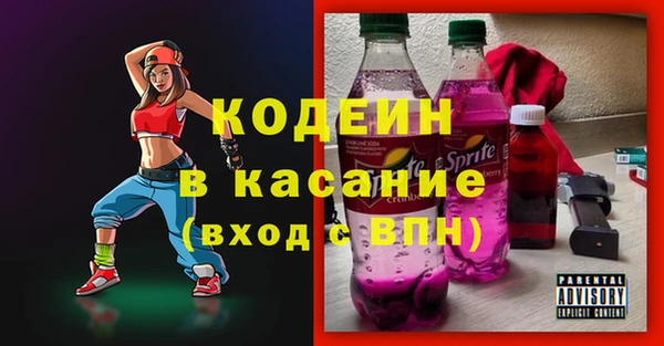 индика Краснотурьинск