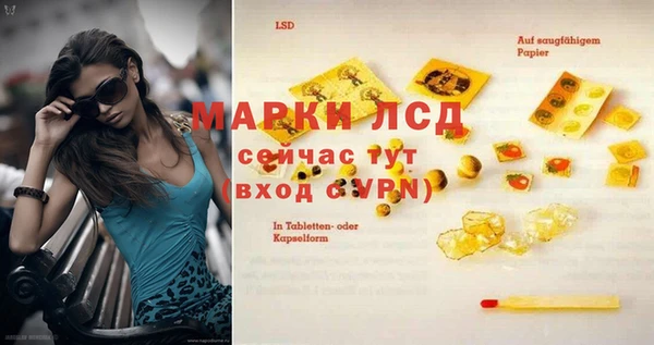 индика Краснотурьинск